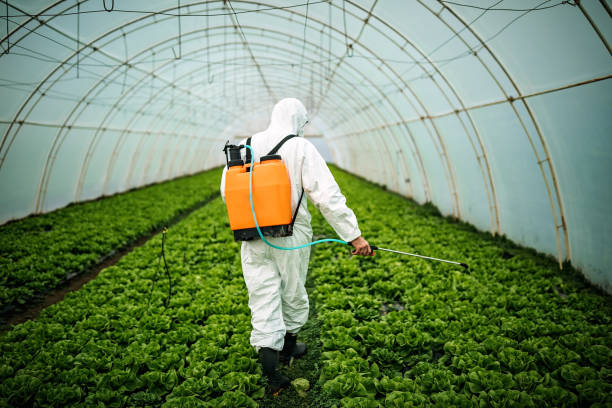 Best Best Pest Control Companies  in Shelby, NC