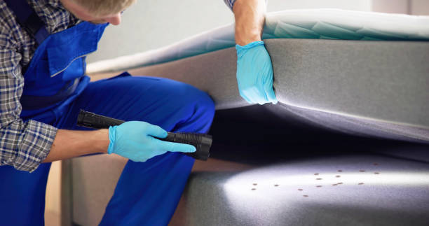 Pest Control for Restaurants in Shelby, NC